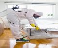 Exterminateur Laprairie